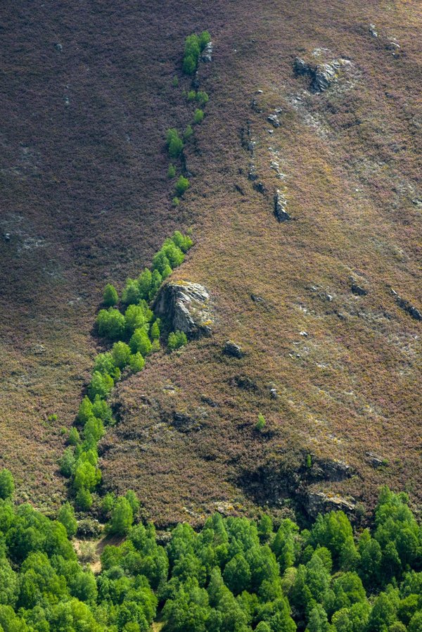 En quoi un jeu basé sur la création et la gestion d'une colonie sur une planète extraterrestre pourrait-il enseigner les défis de la colonisation spatiale ?